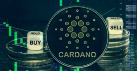 Cardano обрушилась на хвилі неприйняття ризику